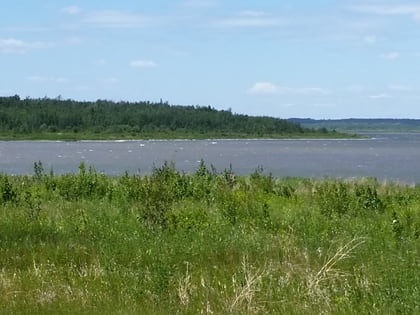 miquelon lake provincial park