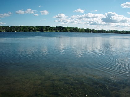 Wilcox Lake