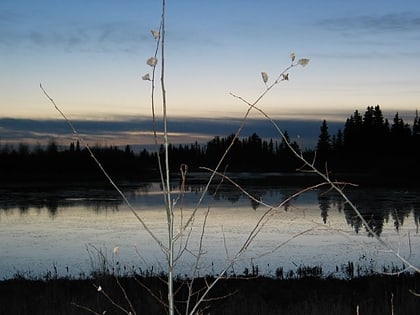 park narodowy elk island