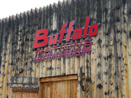 buffalo nations luxton museum banff