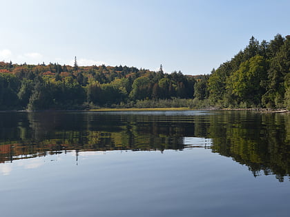 lago north tea parque provincial algonquin