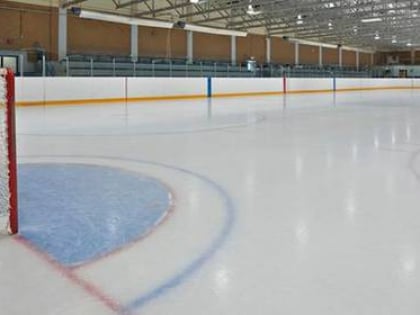 henry viney arena calgary