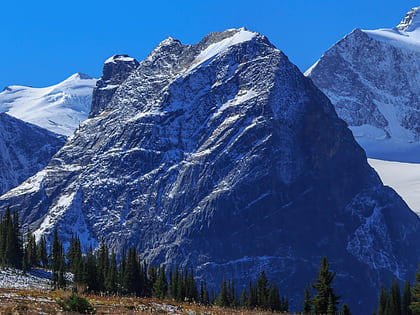 mount topham parque nacional glacier