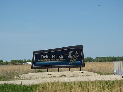 Delta Marsh