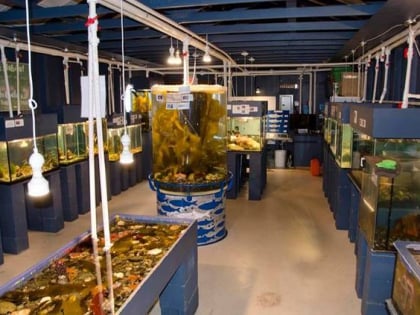 Discovery Passage Aquarium