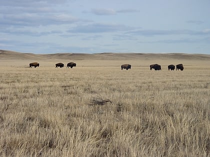 Parc national des Prairies