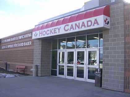 arena olympique pere david bauer calgary