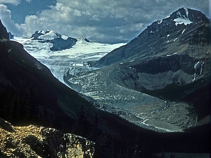 peyto glacier parc national de banff