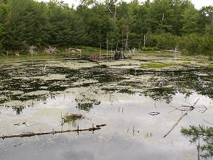 six mile lake provincial park