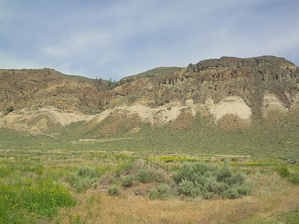 McAbee Fossil Beds