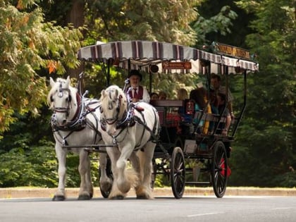 stanley park horse drawn tours vancouver