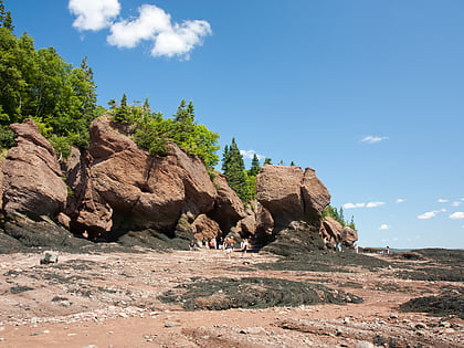 Parc provincial Hopewell Rocks