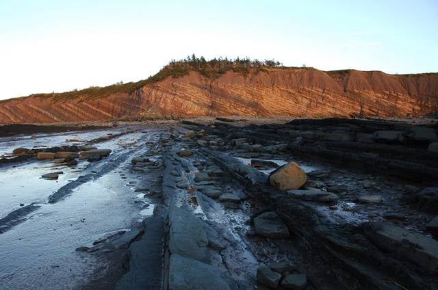 joggins fossil cliffs