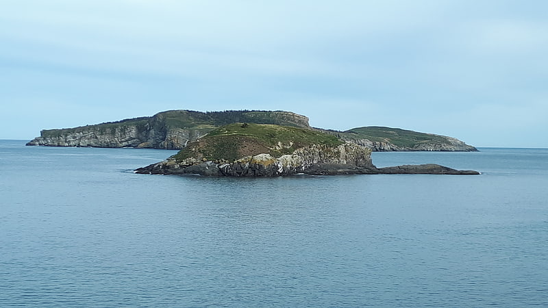 pee pee island witless bay ecological reserve