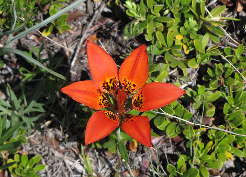 Pays de Kananaskis