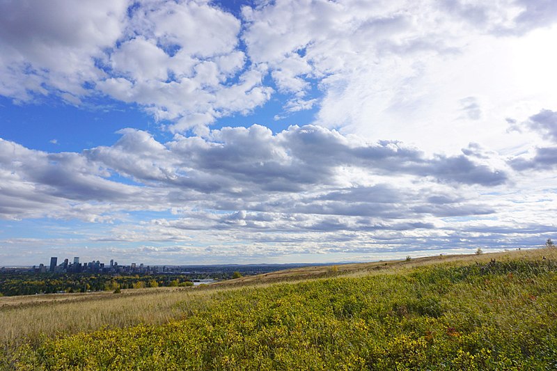 Nose Hill Park