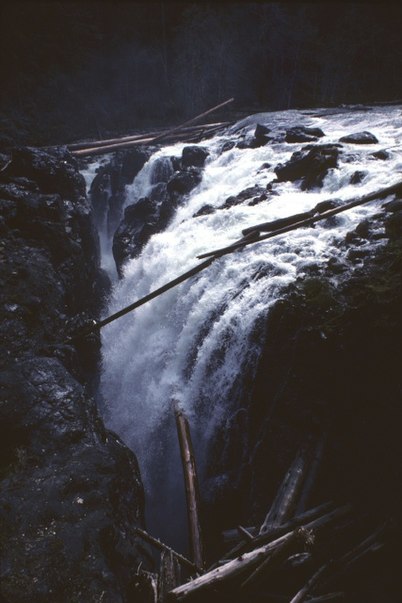 Englishman River Falls Provincial Park