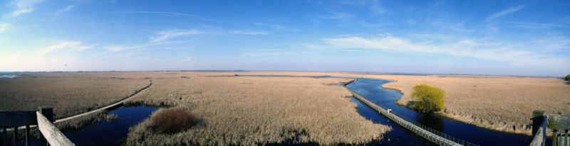 Park Narodowy Point Pelee