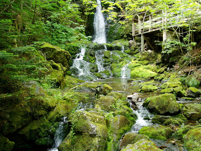 Park Narodowy Fundy