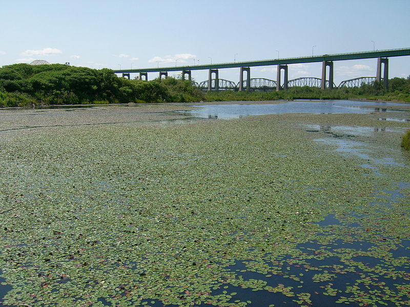 Sault Ste. Marie Canal, Sault Sainte Marie