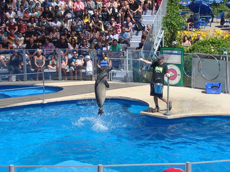 Acuario de Quebec