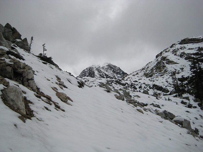 Park Narodowy Mount Revelstoke