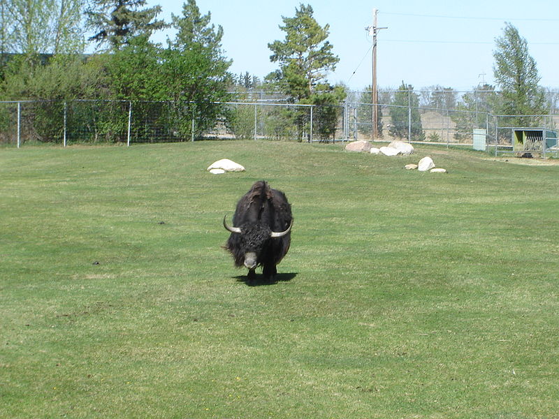 Forestry Farm Park and Zoo