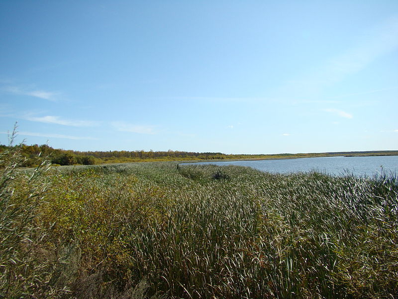 Parc provincial de Grand Beach