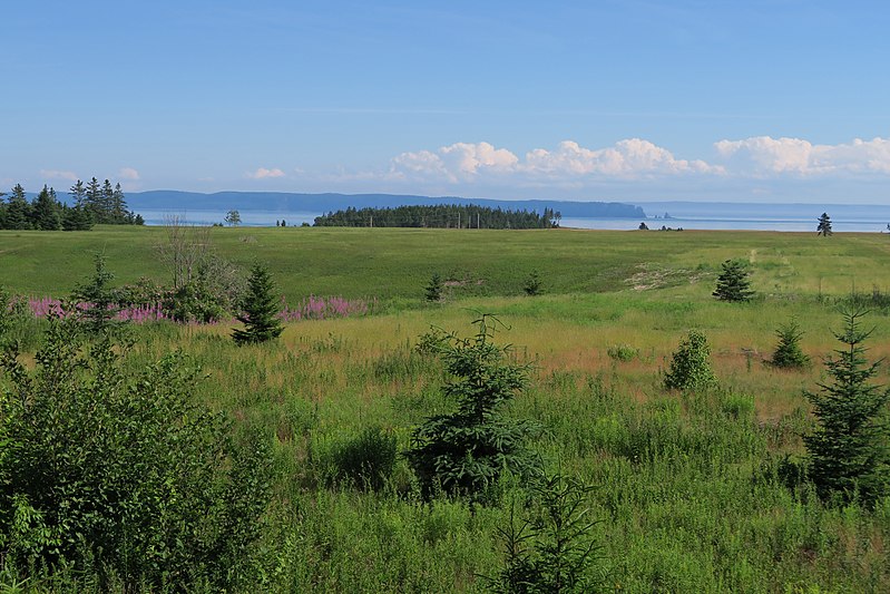 Park Prowincjonalny Cape Chignecto