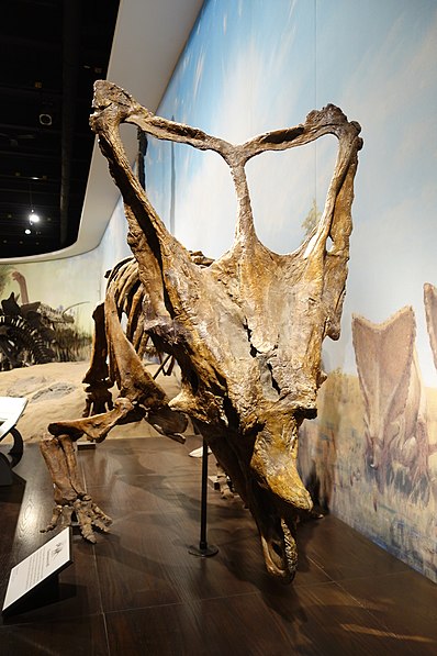 Musée royal Tyrrell de paléontologie