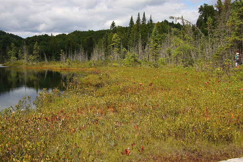 Parc national de la Mauricie