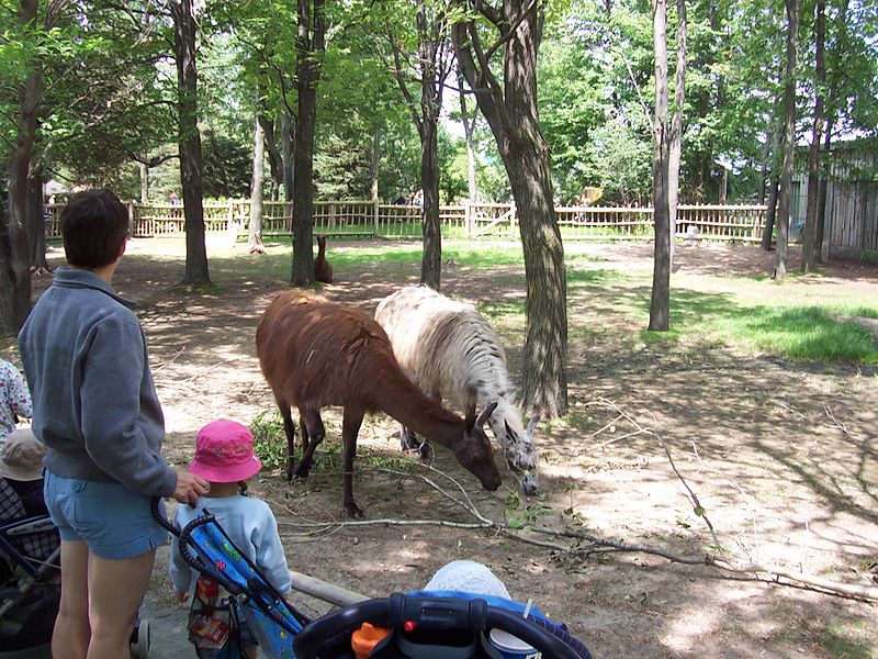 Zoológico de Granby