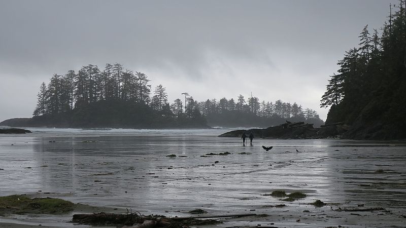 Réserve de parc national Pacific Rim