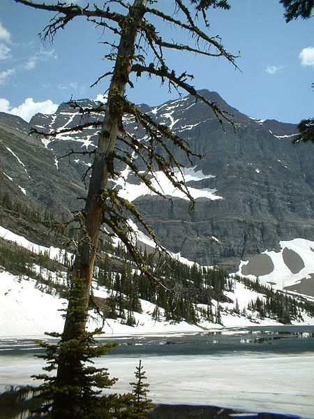 Crypt Lake Trail