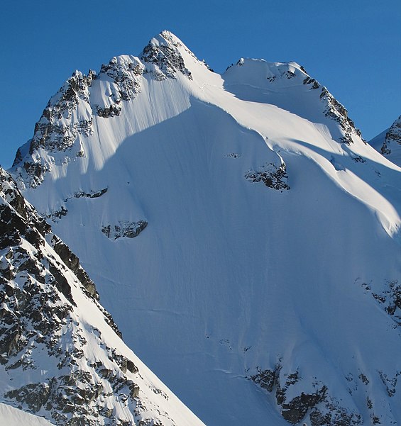 Mount Fitzsimmons