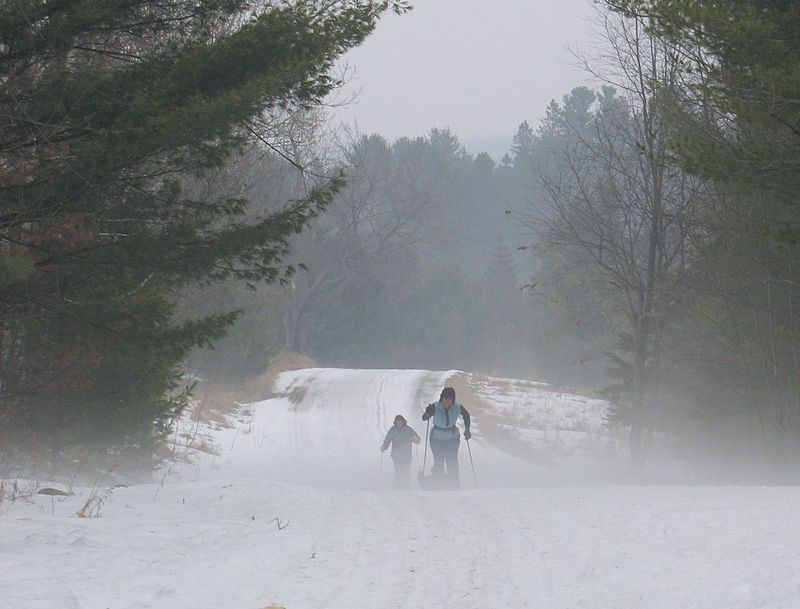 Gatineau Park