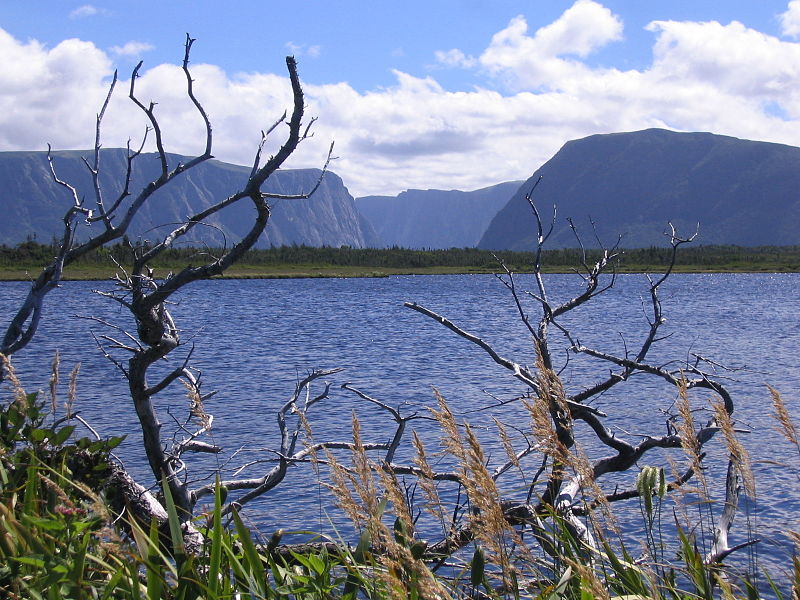 Park Narodowy Gros Morne