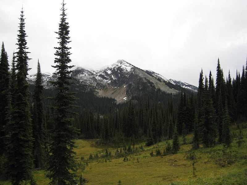 Park Narodowy Mount Revelstoke