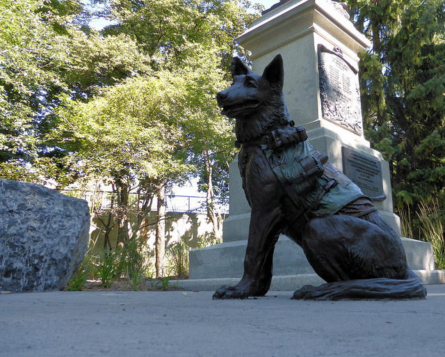 Animals in War Memorial