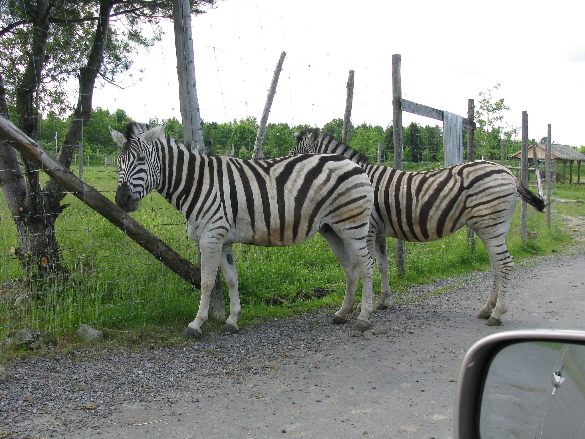 Hemmingford, Canadá