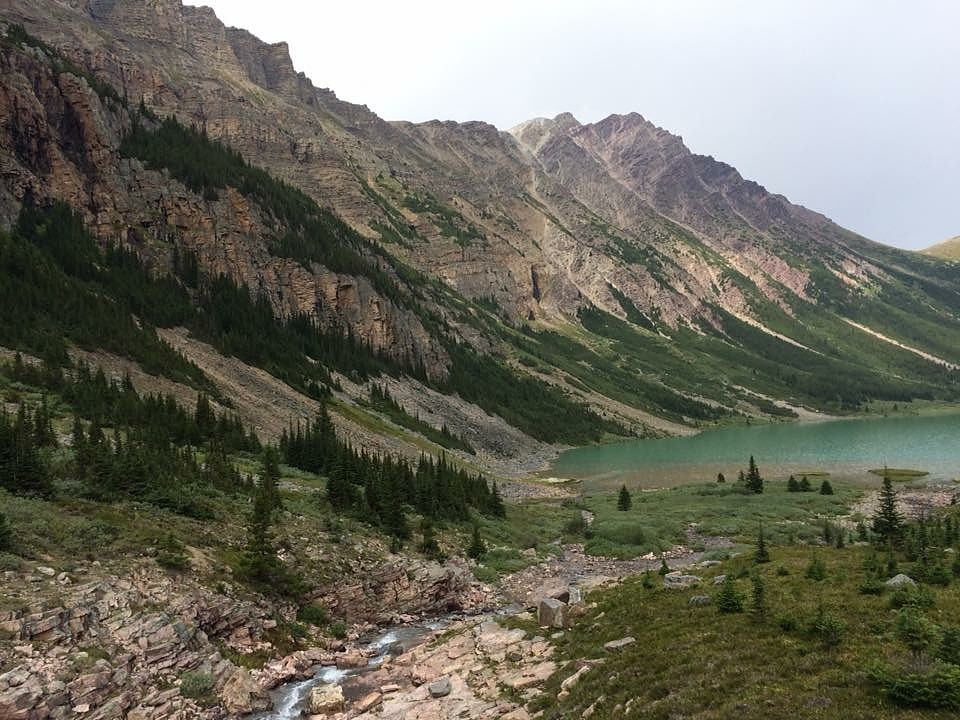 Aire sauvage de Siffleur, Canada