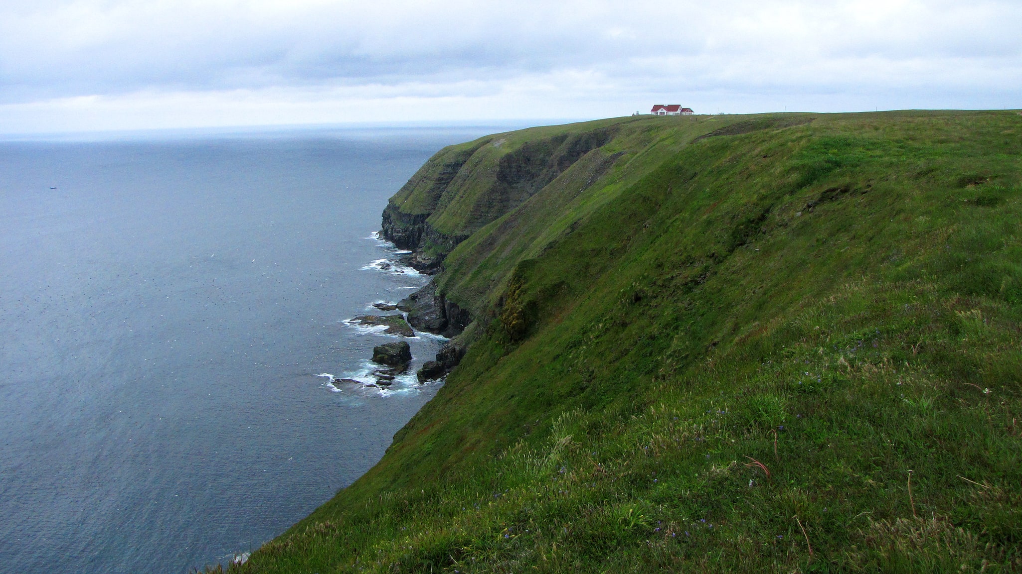 Cape St. Mary’s Ecological Reserve, Kanada