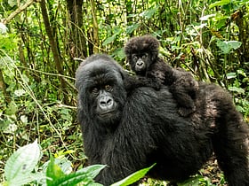 Parque nacional de Virunga