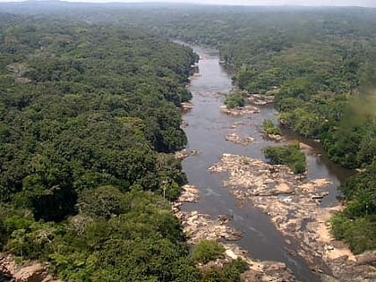 ituri regenwald okapi wildtierreservat