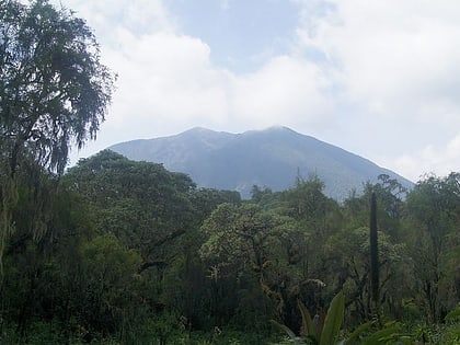 mount bisoke park narodowy wirunga