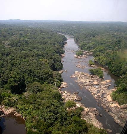 ituri regenwald okapi wildtierreservat