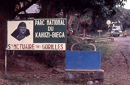 Park Narodowy Kahuzi-Biéga