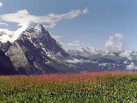 Grosse Scheidegg