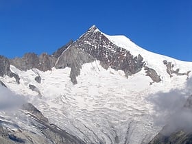 mittelaletsch glacier swiss alps jungfrau aletsch