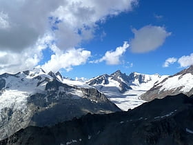 glacier de fiesch alpes suisses jungfrau aletsch